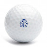 Tampon coccinelle pour balle de golf
