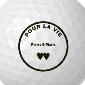Pour la vie (couple)